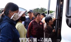 Hơn 800 người bán vé số dạo ở Thành phố Hồ Chí Minh được đưa về quê đón Tết