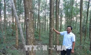 Cáp Quốc Hà - Tỷ phú trên vùng gò đồi hoang hóa