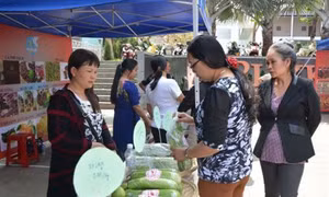 Gia Lai tổ chức Ngày hội phụ nữ khởi nghiệp năm 2018