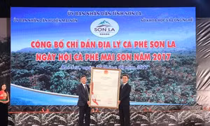 Chỉ dẫn địa lý – Khẳng định danh tiếng, định vị cà phê Sơn La trên bản đồ cà phê Việt Nam