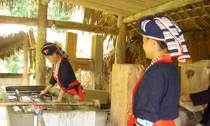 Việt Nam có thêm 8 di sản văn hóa phi vật thể quốc gia
