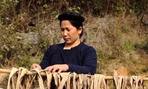 Giấy bản của người Nùng ở Quảng Uyên "đắt hàng"