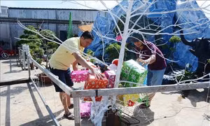 Đời sống cải thiện, đồng bào Công giáo ở Đắk Lắk vui đón Lễ Giáng sinh 2018