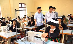 Phát huy hiệu quả dạy nghề cho lao động nông thôn huyện Ngọc Lặc