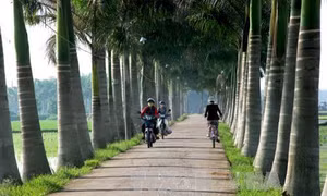 Long An huy động hơn 11.000 tỷ đồng xây dựng nông thôn mới