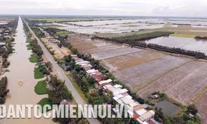 Đánh thức tiềm năng vùng Đồng Tháp Mười