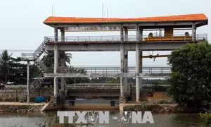 Kiên Giang chủ động ngăn mặn ứng phó với khô hạn