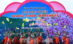 Khai mạc sự kiện Hoa Anh đào – Pá Khoang – Điện Biên năm 2018