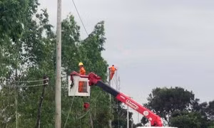 Phú Yên thực hiện chương trình mục tiêu quốc gia giảm nghèo bền vững