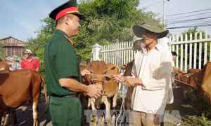 Kiên Giang phát triển kinh tế gắn với bảo đảm quốc phòng, an ninh trên tuyến biên giới, hải đảo