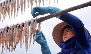 Thơm lừng hương vị cá khoai Cái Đôi Vàm