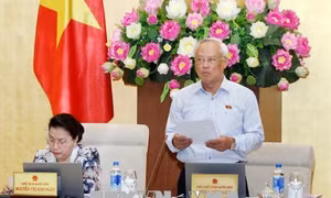 Thành lập ba thị trấn Lai Uyên, Tân Thành và Đồng Lộc