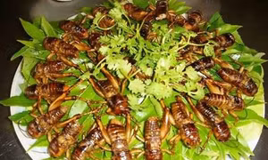 Muồm muỗm rang Mường Lò
