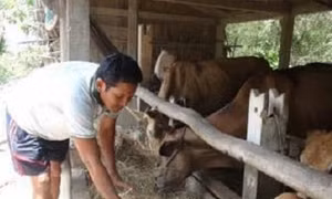 Tín dụng chính sách giúp đồng bào Khmer ở An Giang phát triển kinh tế