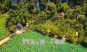 Vẻ đẹp thanh bình mùa sen tại Tam Cốc - Bích Động (Ninh Bình)