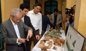 Phát hiện nhiều dấu tích quý tại khu vực Chính điện Kính Thiên thuộc Hoàng thành Thăng Long