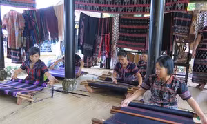Triển khai các chương trình phát triển làng nghề