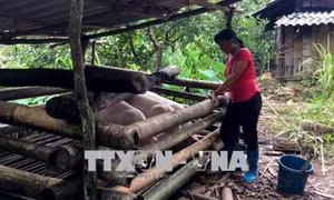Xã vùng cao Đồng Sơn vươn lên thoát nghèo