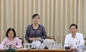 Thực hiện các giải pháp quản lý và sử dụng hiệu quả nguồn tài nguyên đất tại Thành phố Hồ Chí Minh