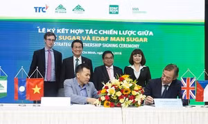 Sản phẩm đường Organic của doanh nghiệp Việt Nam sẽ sang thị trường châu Âu