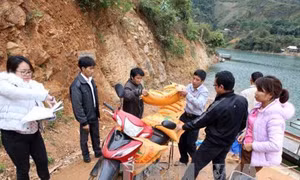 Xuất cấp gạo từ nguồn dự trữ quốc gia cho các địa phương dịp Tết 2018