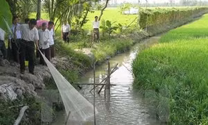 Ông Âu Văn On chuyển đổi sản xuất để sống chung với lũ