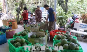 Áp thuế suất ưu đãi đặc biệt đối với hàng hóa xuất nhập khẩu tại chỗ