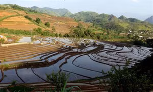 Lai Châu mùa nước đổ