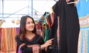 Tuần lễ Cỏ hồng thu hút du khách đến với vùng đất Tây Nguyên