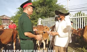 Hỗ trợ đồng bào vùng biên giới, hải đảo ổn định cuộc sống