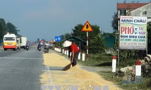 Phơi, đốt rơm rạ trên các quốc lộ: Hiểm họa khôn lường
