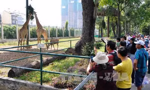 Nhiều hoạt động vui chơi, giải trí tại Thành phố Hồ Chí Minh dịp Quốc khánh 2/9