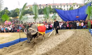 Nô nức Ngày hội xuống đồng của đồng bào dân tộc Tày