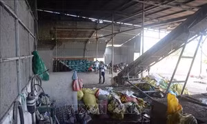 Đắk Nông: Không đủ điều kiện hoạt động, cơ sở tái chế nhựa ở khu vực dân cư vẫn gây ô nhiễm môi trường kéo dài