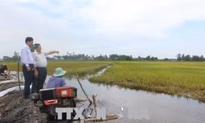 Quản lý tài nguyên nước vùng Đồng bằng sông Cửu Long (Bài 2)