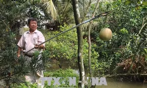 Nhà sáng chế miệt vườn Lê Phước Lộc