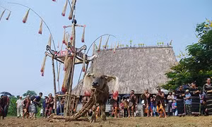 Lễ hội mừng nhà Rông mới của người Giẻ Triêng ở Kon Tum