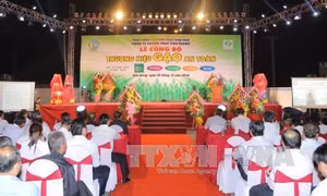 Quy chế sử dụng nhãn hiệu gạo quốc gia 