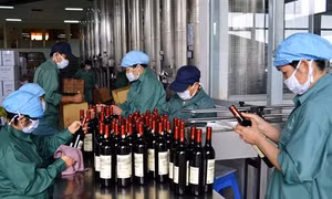 Lâm Đồng bãi bỏ 4 danh mục thủ tục hành chính thuộc thẩm quyền của UBND cấp xã