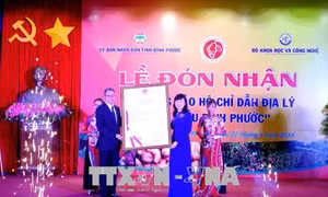 Đón nhận bảo hộ chỉ dẫn địa lý “Hạt điều Bình Phước”