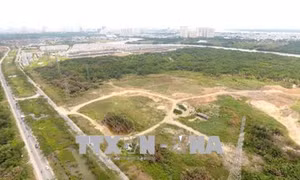 Tạm đình chỉ chức vụ Tổng Giám đốc Công ty Tân Thuận