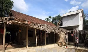 Tám tỉnh miền Trung kéo dài thời hạn hỗ trợ hộ nghèo xây dựng nhà ở phòng, tránh bão lụt