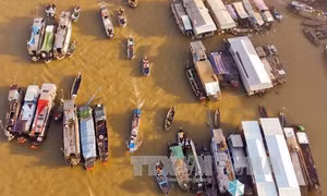 Nhiều hoạt động phong phú tại Ngày hội du lịch "Văn hóa chợ nổi Cái Răng"