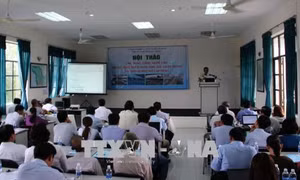 Thành phố Hồ Chí Minh đưa công nghệ cao vào nuôi tôm thẻ chân trắng