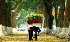Thời tiết ngày 21/3: Miền Bắc độ ẩm thấp, Tây Nguyên và Nam Bộ đề phòng thời tiết nguy hiểm