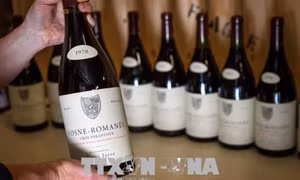 Giá ngất trời cho những chai vang thượng hạng vùng Burgundy