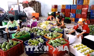 Đồng bằng sông Cửu Long và con đường phát triển nông nghiệp bền vững (Bài 3)