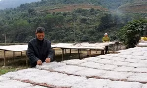 Hợp tác xã giúp dân xóa nghèo Thành Sơn