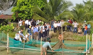 Nuôi thủy sản theo chuỗi không lo đầu ra