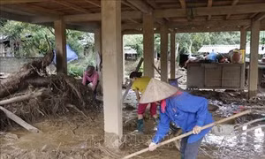 Hỗ trợ 6 địa phương phòng chống dịch bệnh động vật do ảnh hưởng cơn bão số 3